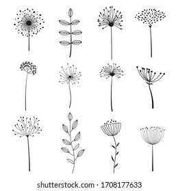 Floral Elements with different flowers and plants for design. Vector illustration