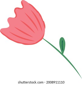 floral elements. Flower and green leaves. Wedding concept - flowers. Floral poster, invite. Vector arrangements for greeting card or invitation design.
