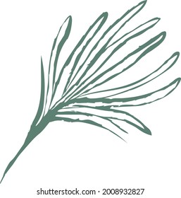 floral elements. Flower and green leaves. Wedding concept - flowers. Floral poster, invite. Vector arrangements for greeting card or invitation design.