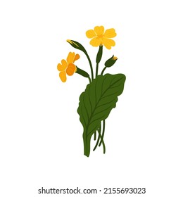 Floral elements. Flower and green leaves. Modern trendy Matisse minimal style.  Floral poster, invite. Vector arrangements for greeting card or invitation design