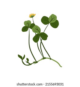 Floral elements. Flower and green leaves. Modern trendy Matisse minimal style.  Floral poster, invite. Vector arrangements for greeting card or invitation design