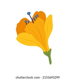 Floral elements. Flower and green leaves. Modern trendy Matisse minimal style.  Floral poster, invite. Vector arrangements for greeting card or invitation design