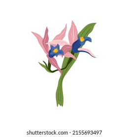 Floral elements. Flower and green leaves. Modern trendy Matisse minimal style.  Floral poster, invite. Vector arrangements for greeting card or invitation design