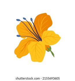 Floral elements. Flower and green leaves. Modern trendy Matisse minimal style.  Floral poster, invite. Vector arrangements for greeting card or invitation design