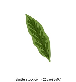 Floral elements. Flower and green leaves. Modern trendy Matisse minimal style.  Floral poster, invite. Vector arrangements for greeting card or invitation design