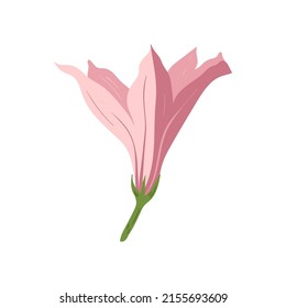 Floral elements. Flower and green leaves. Modern trendy Matisse minimal style.  Floral poster, invite. Vector arrangements for greeting card or invitation design