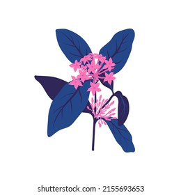 Floral elements. Flower and green leaves. Modern trendy Matisse minimal style.  Floral poster, invite. Vector arrangements for greeting card or invitation design
