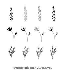 Floral elements and flowers, twigs and leaves set. Vector silhouettes of flowers.