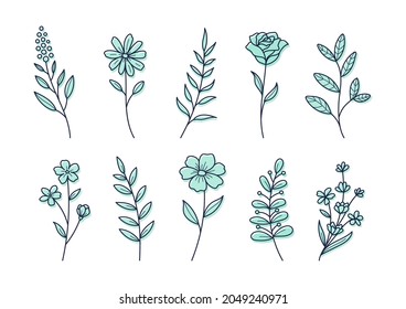 Floral elements for graphic and design, Vector illustrations.