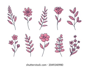 Floral elements for graphic and design, Vector illustrations.