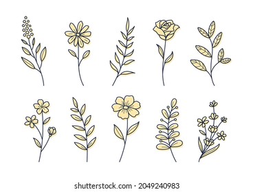 Floral elements for graphic and design, Vector illustrations.