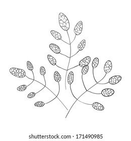 Floral elements. Grass. Vector illustration.