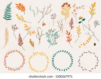 Floral elements. Hand drawn design elements. Collection of autumn flowers, leaves, dandelion, grass. Design for invitation, wedding or greeting cards.