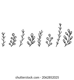 Floral elements in hand drawn doodle style. Plant branches linear illustration