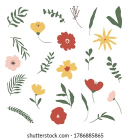 Floral elements. Hand drawn illustration. Trendy simple autumn colours. Herbal collection. Perfect for wedding invitation, posters, stickers, packaging and other design decoration.