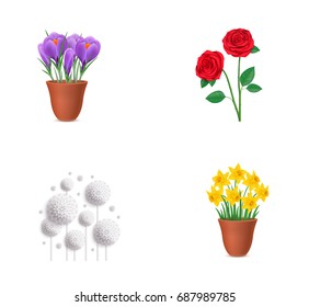 Floral elements icon set