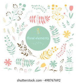 Floral elements isolated on white background