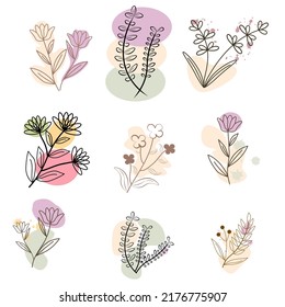 Floral Elements, Modern Flowers, Floral Lines.
