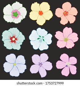 Floral elements on a black background. Simple seamless pattern in vector. Stylized botanical illustration, set colorful and bright summer flowers. You can use flowers or a pattern separately.