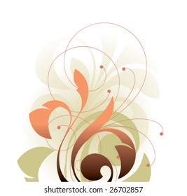 Floral elements on a white background