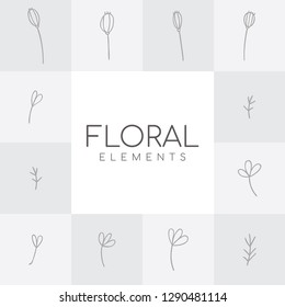 floral elements - Perfect for invitations, greeting cards, quotes, blogs, Wedding Frames, posters - Vector