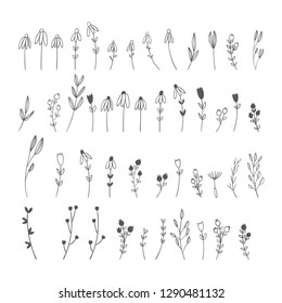 floral elements - Perfect for invitations, greeting cards, quotes, blogs, Wedding Frames, posters - Vector
