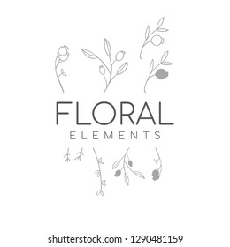 floral elements - Perfect for invitations, greeting cards, quotes, blogs, Wedding Frames, posters - Vector