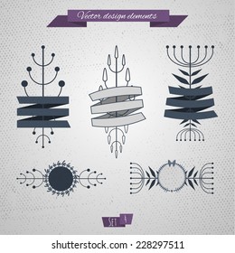 Floral elements with ribbon. Floral design. Vector set. 