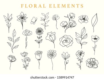 Floral elements set, botanical drawings. Hand drawn ink one line flowers and leaves sketches collection, vintage style. Vector illustration