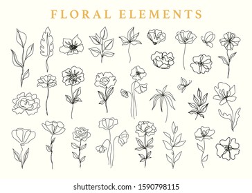 Floral elements set, botanical drawings. Hand drawn ink one line flowers and leaves sketches collection, vintage style. Vector illustration