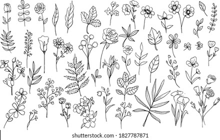 Floral elements set hand draw doodle style, flowers and leaves