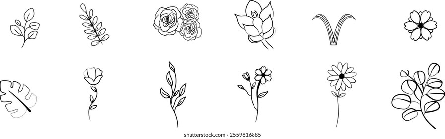 Floral elements set. Hand-drawn botanical line art creates a delicate floral pattern, perfect for minimalist designs. Black and white illustration, vector