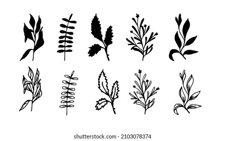 Floral elements set, ink hand drawn elements line art and silhouette greenery