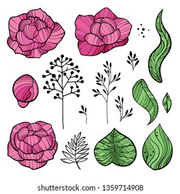 Floral Elements Set with Pink Peony Flowers, Leaves and Buds. Hand Drawn Botanical Flora for Decoration, Wedding Invitation, Patterns. Vector illustration