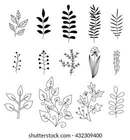 Minimalist Flower Line Art Herb Set Stock Vector (Royalty Free ...