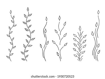 Floral elements stems, leaves, vines isolated on white background. Stylized beautiful plants for logo, eco design, organic decor and other use. Vector set.