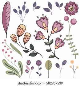 Floral elements. Vector collection of stylized plants for design