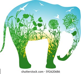 Floral elephant