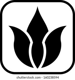 Floral emblem vector isolated 