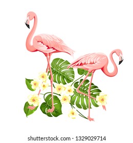Floral exotic natural decoration. Safary summer background with Tropical leaves silhouette, blooming plumeria flowers, and flamingo birds. Vector illustration.