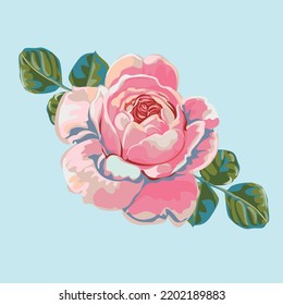 Floral fashion prints. Botanical  pattern. Textile design.