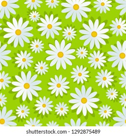 Floral flower background with daises chamomiles. Vector