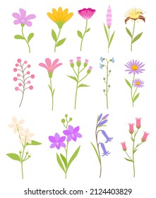 Floral flower elements colorful set