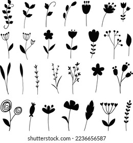 
El conjunto de flor floral aislado del elemento Silhouette