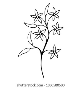 floral flower hand drawn doodle icon for social media story. Cute single hand drawn herbal element - Shutterstock ID 1850580580