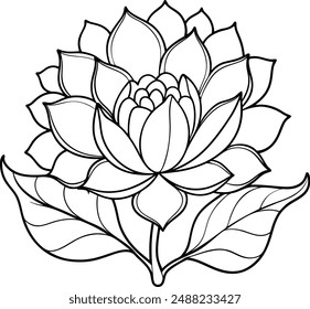 Floral flower outline, flat design, simple flower outline, line Art, Outline drawing.