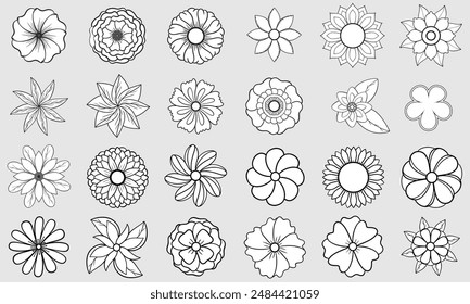 Floral and flower simple for coloring. 
