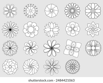 Floral and flower simple for coloring. 