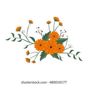 floral flowers with green leaves