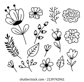 Floral flowers hand drawn design element set collection